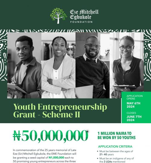 Youth Entrepreneurship Grant – Scheme II (Nigeria) |Grant Funding of N1 Million to 50 innovative Youths